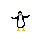 hier klicken zum starten